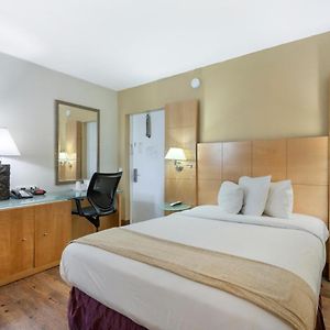 One Queen Bed