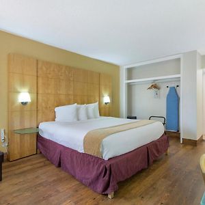 One King Bed